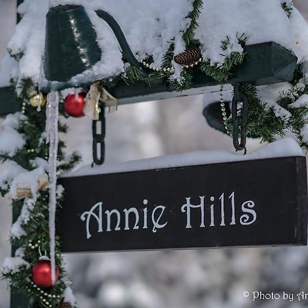 Annie Hills Bed and Breakfast Tateshina  Exteriör bild